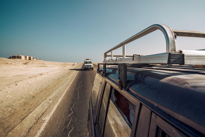 Safari adventures